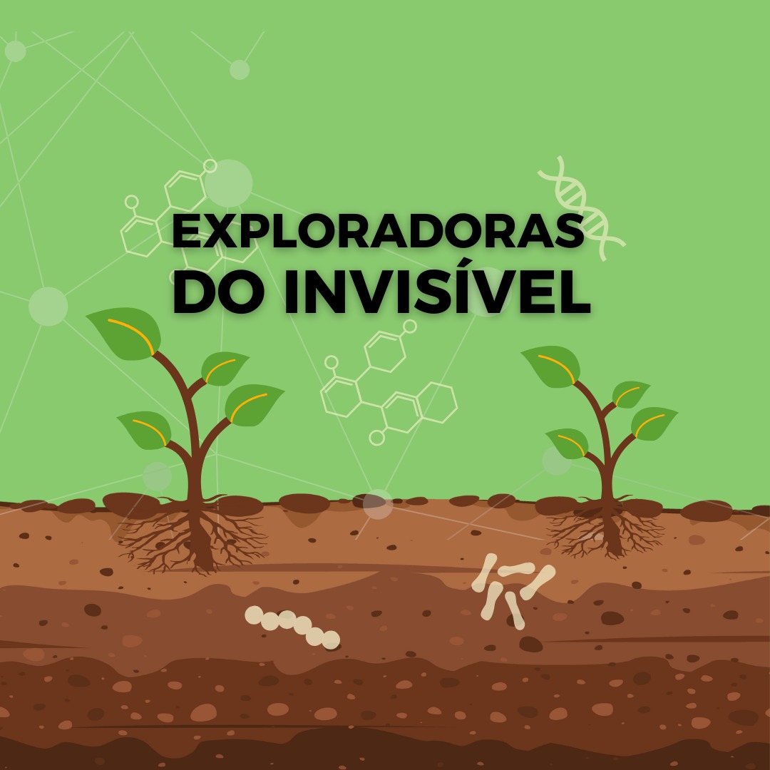 Divas
